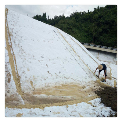 复合膨润土防水毯